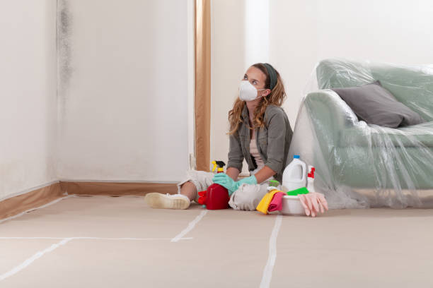 Reliable Commercial Mold Remediation contractor in Media, PA by WQB Mold Removal
