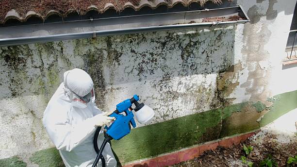 Top rated local Commercial Mold Remediation specialists in Media, PA